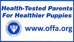 offa logo